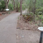 Water in Bungoona picnic area (170898)