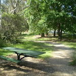 Katoomba falls park (17107)