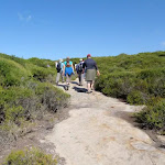 Walking across Jibbon Head (171996)