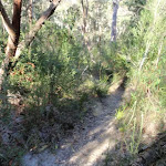 Flat Rock Creek track (172302)