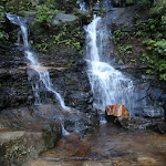 Lodore Falls (182319)