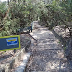 Stairs down from Conservation Hut (184710)