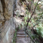 Track between Gorden Falls Reserve and Pool of Siloam (186069)