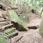 Steps (191150)