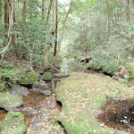 Narara creek (192440)
