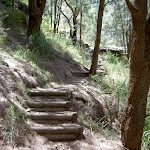 steps leading up into the Brisbane Waters National Park (19530)