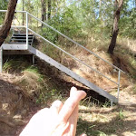 Casuarina link trail stairs (198643)