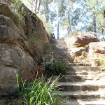 Steps below Ouraka Point (202033)