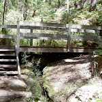 Maitland Bay Track bridge (20513)