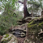 Rocks at the lower end of the Midway Trail (205408)