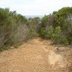 The top of Little Tallow spur track (20966)