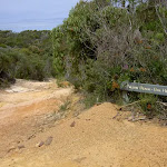 Tallow Beach and Box Head track intersection (20978)