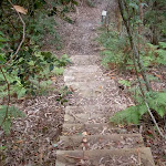 Steps down from picnic area (21518)