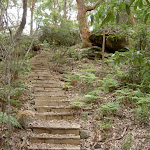 Steps to Dingeldei Picnic Area (21524)