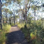 Walking track to Bulgandry site (216857)