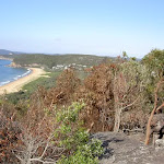 Putty Beach from Jacqueline Ave lookout (21707)