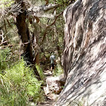 Rock outcrop on right of track (21746)