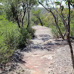 Path along the rock (218024)