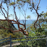 View to Barrenjoey (218171)