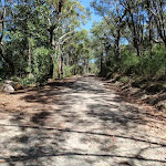 Trail north of Warrah Lookout (218360)