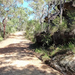 Trail near top of Patonga Track (218486)