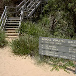 Staircase off eastern side of Putty Beach (21851)