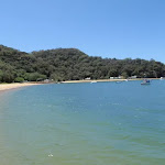 Patonga Beach (219296)