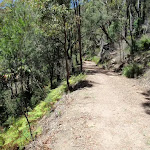 Steep gully on side of trail (219464)