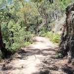 Sandstone cutting on side of trail (219470)