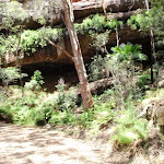 View of Pearl Caves from trail (219494)