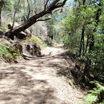 Trail above cave (219503)