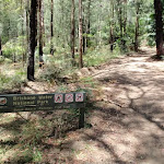 Pearl Beach / Patonga fire trail sign (219659)