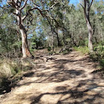 Old management trail (221012)