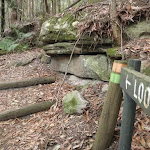 Signpost point to Lookout (225535)