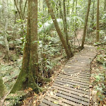 Timber path on Waterman Walk (226438)