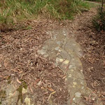 Rock markings on Graves Walk (227137)