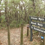 Top of Graves Walk (227281)