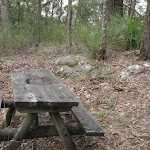 Old Picnic Table (228562)