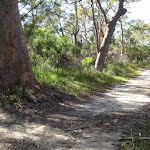 Sid Pulsford Walking trail (233981)