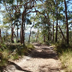 Colin Watters Lookout (234416)