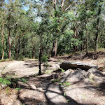 Small clearing were Sandringham track meets the management trail (235514)
