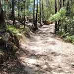 Sid Pulsford Walking trail (236180)