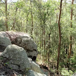 Boulders near valley view on Glasson's Trail (237764)