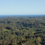 View from the lookout (239336)