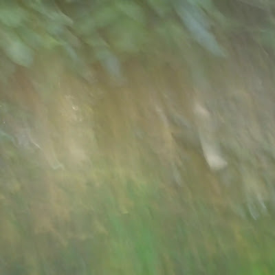 thum image