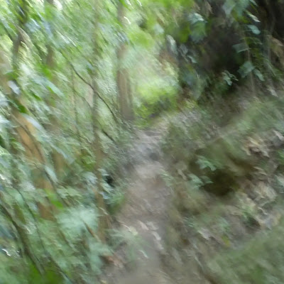 thum image