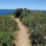 Whale watching area track (249139)