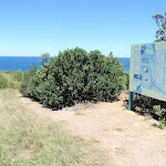 Sign at whale watching area (249175)