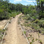 Timber edging on the Geebung Track (250255)