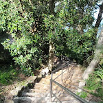 Steps and railing at Steele Point (252794)